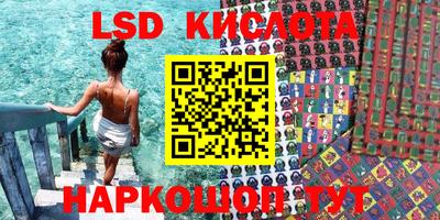 прущие грибы Ногинск