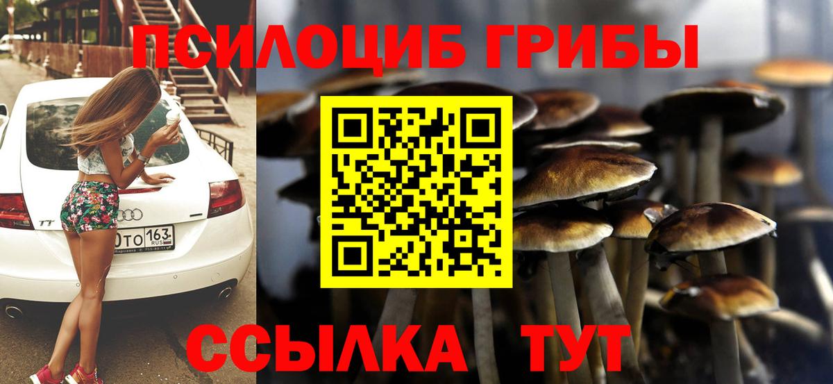Псилоцибиновые грибы мухоморы  купить наркотики сайты  Вход с VPN  Ессентуки  Псилоцибиновые грибы мицелий 